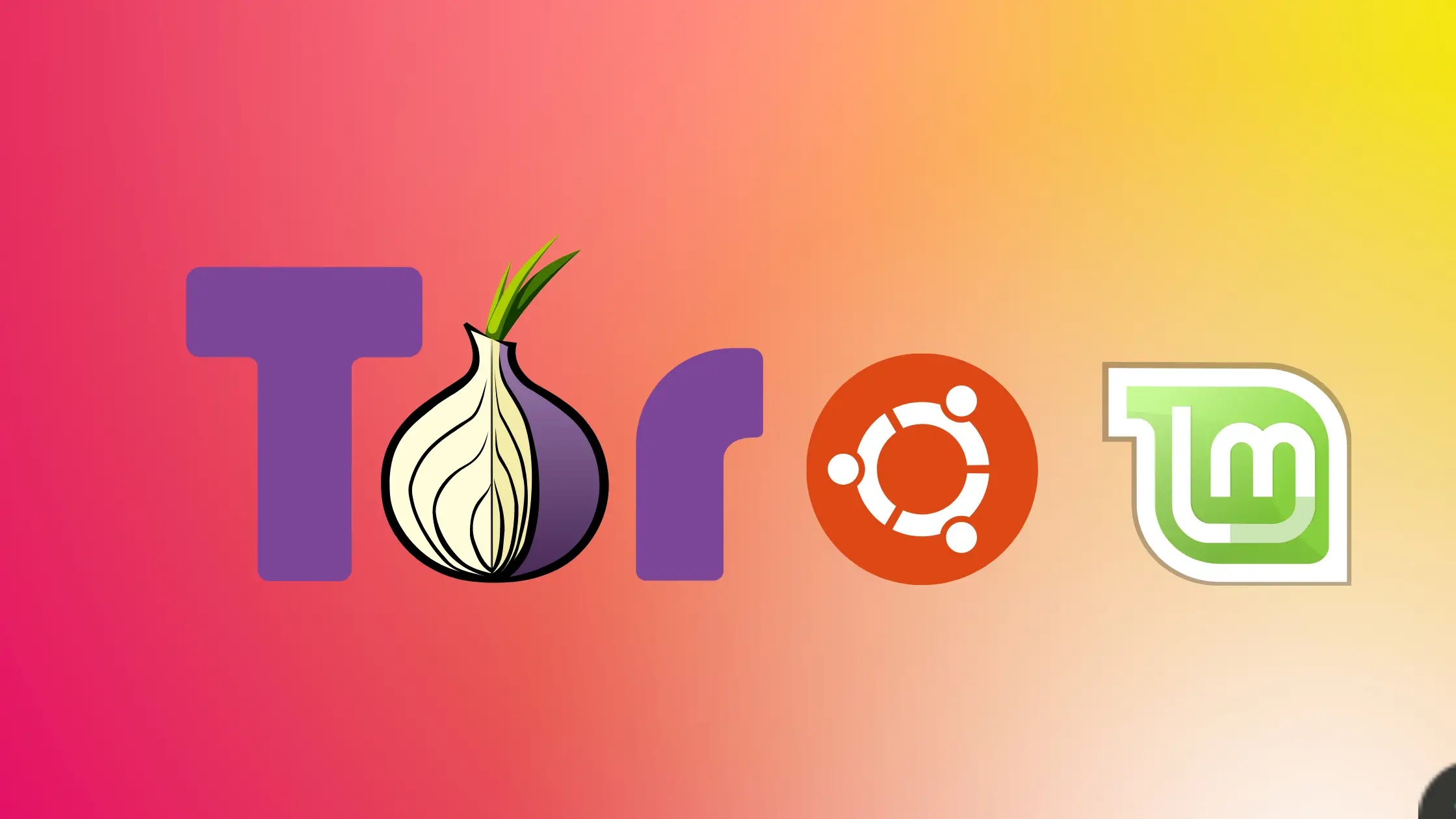 install tor on linux mint 20 and ubuntu