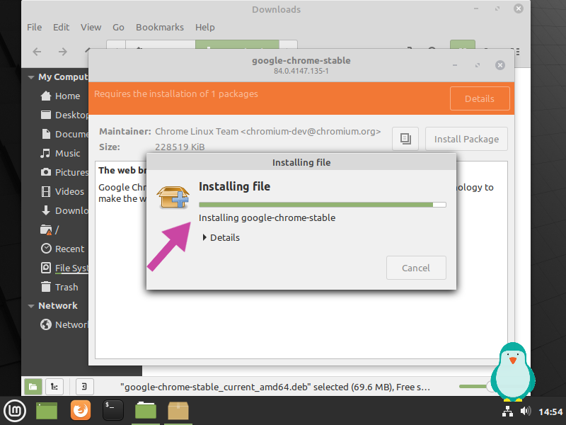 install chrome linux mint