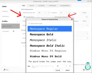 what is windows terminal typeface called