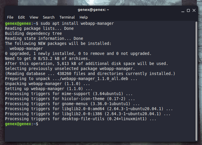 web apps manager linux mint